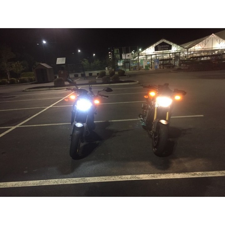 GOLD Led headlight bulb